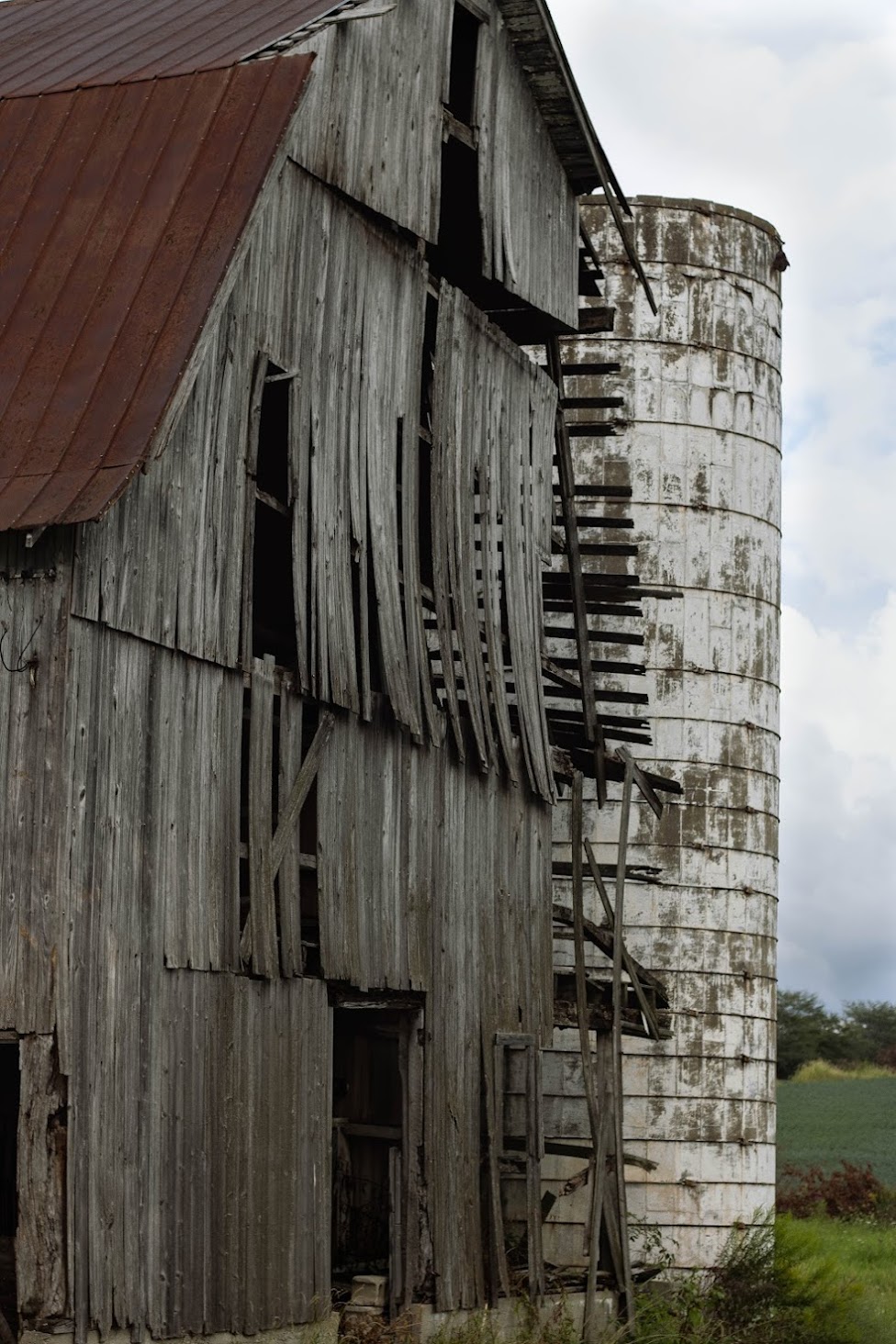 Panes - Image 5