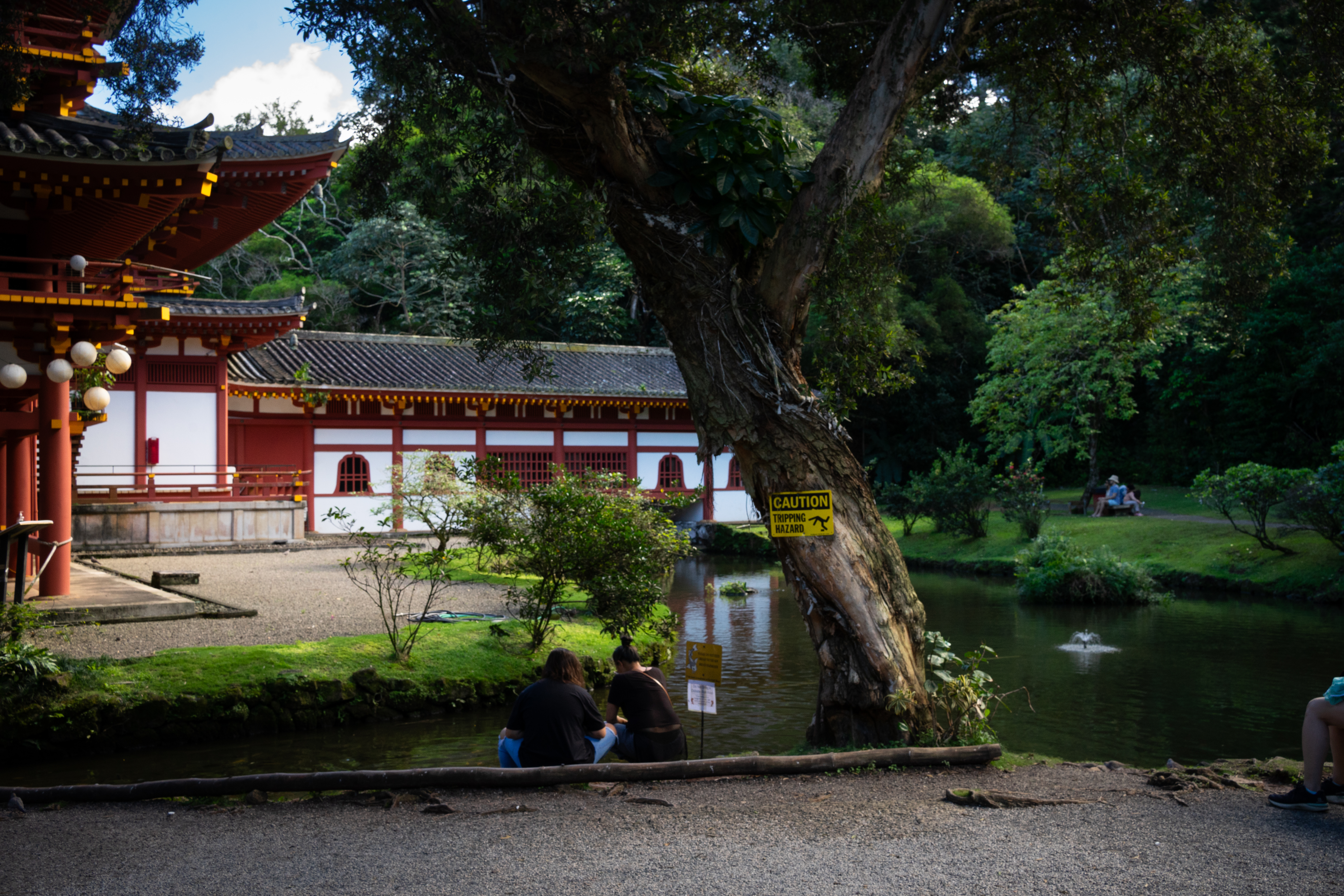 Zen - Image 3