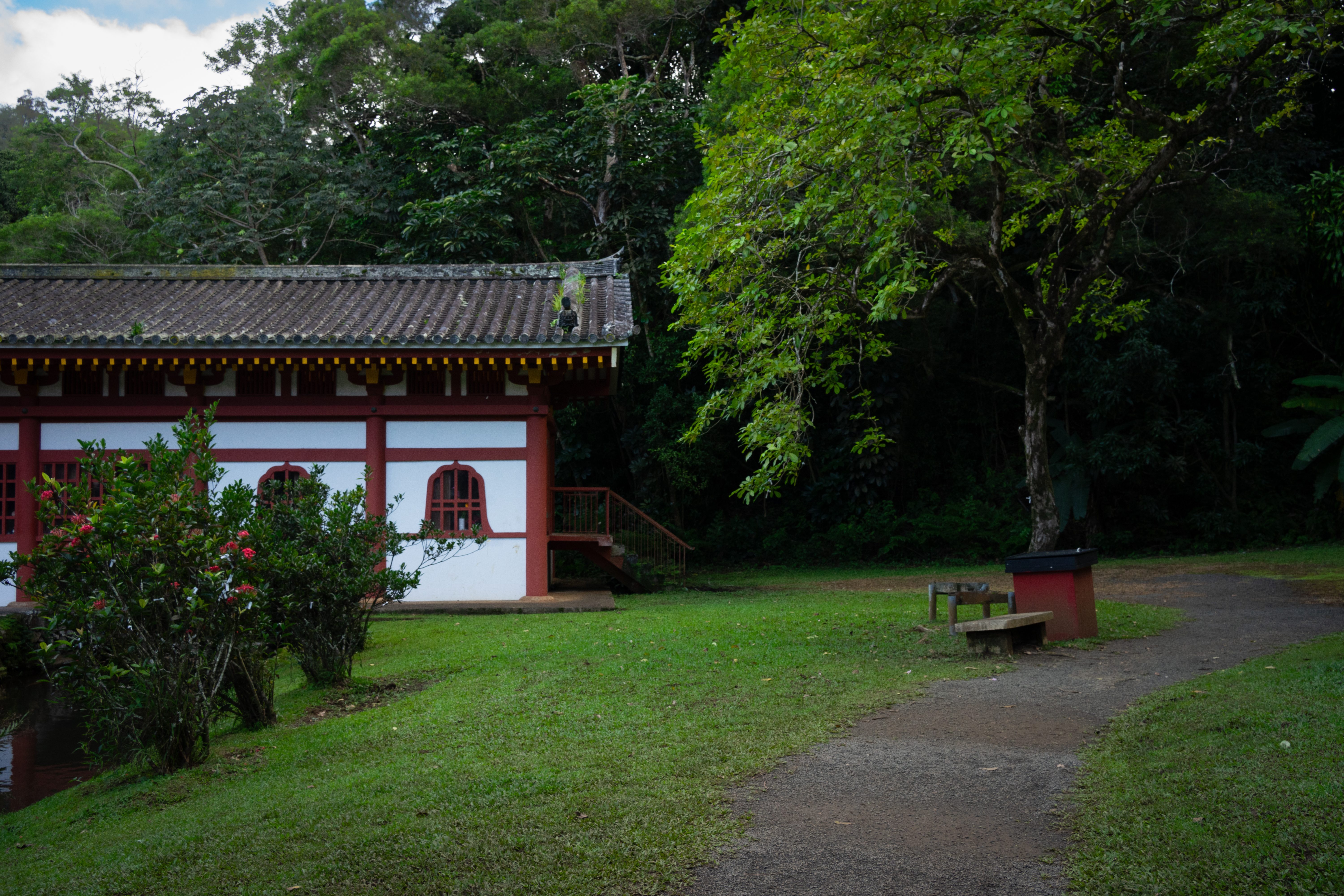 Zen - Image 4